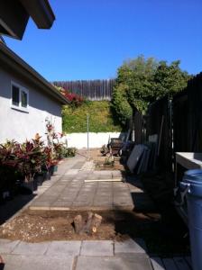 VB side yard.JPG